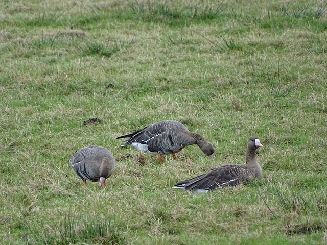 梅西首次登 梅西首次登