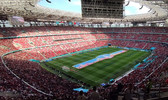 并探讨其对 并探讨其对