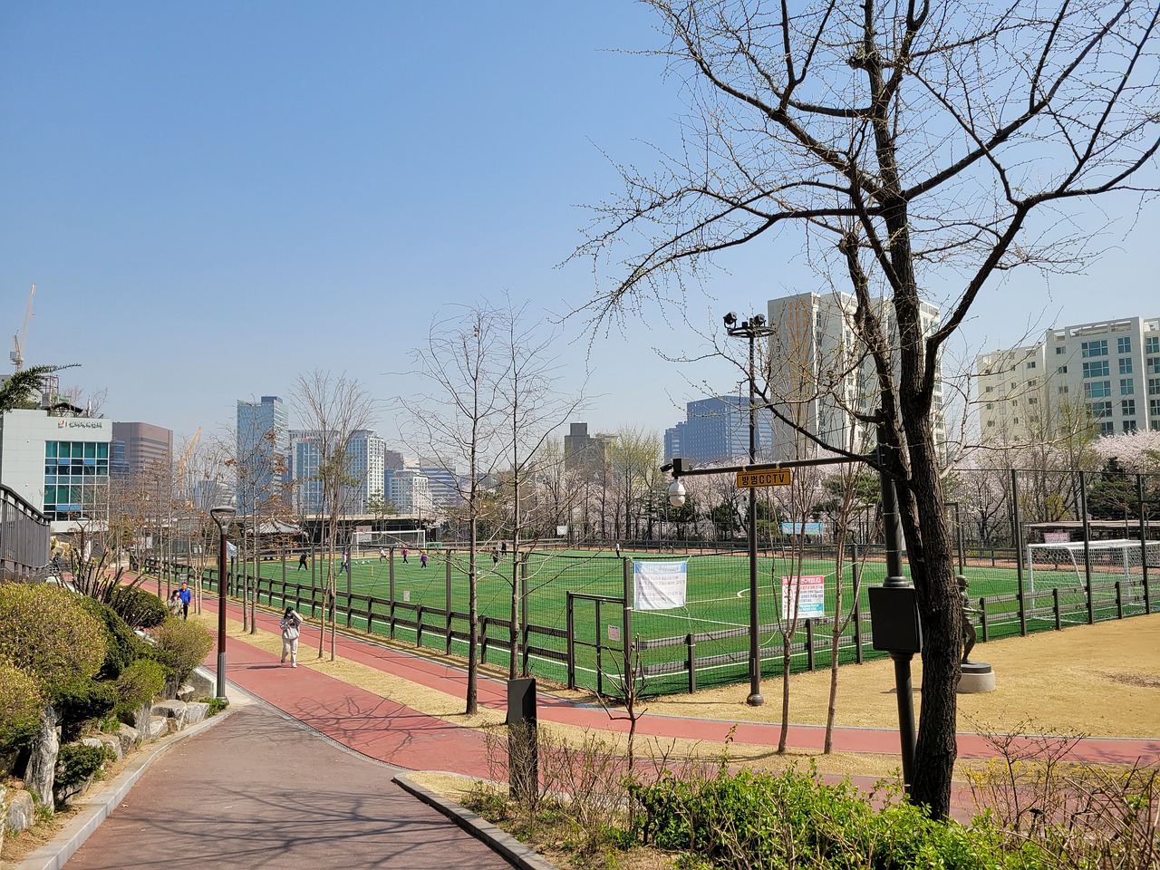 切蒂诺出任 切蒂诺出任