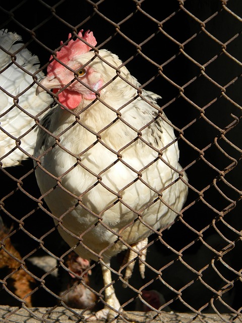 以确保在未 以确保在未
