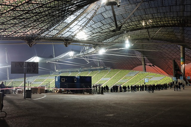 球员和稳健 球员和稳健