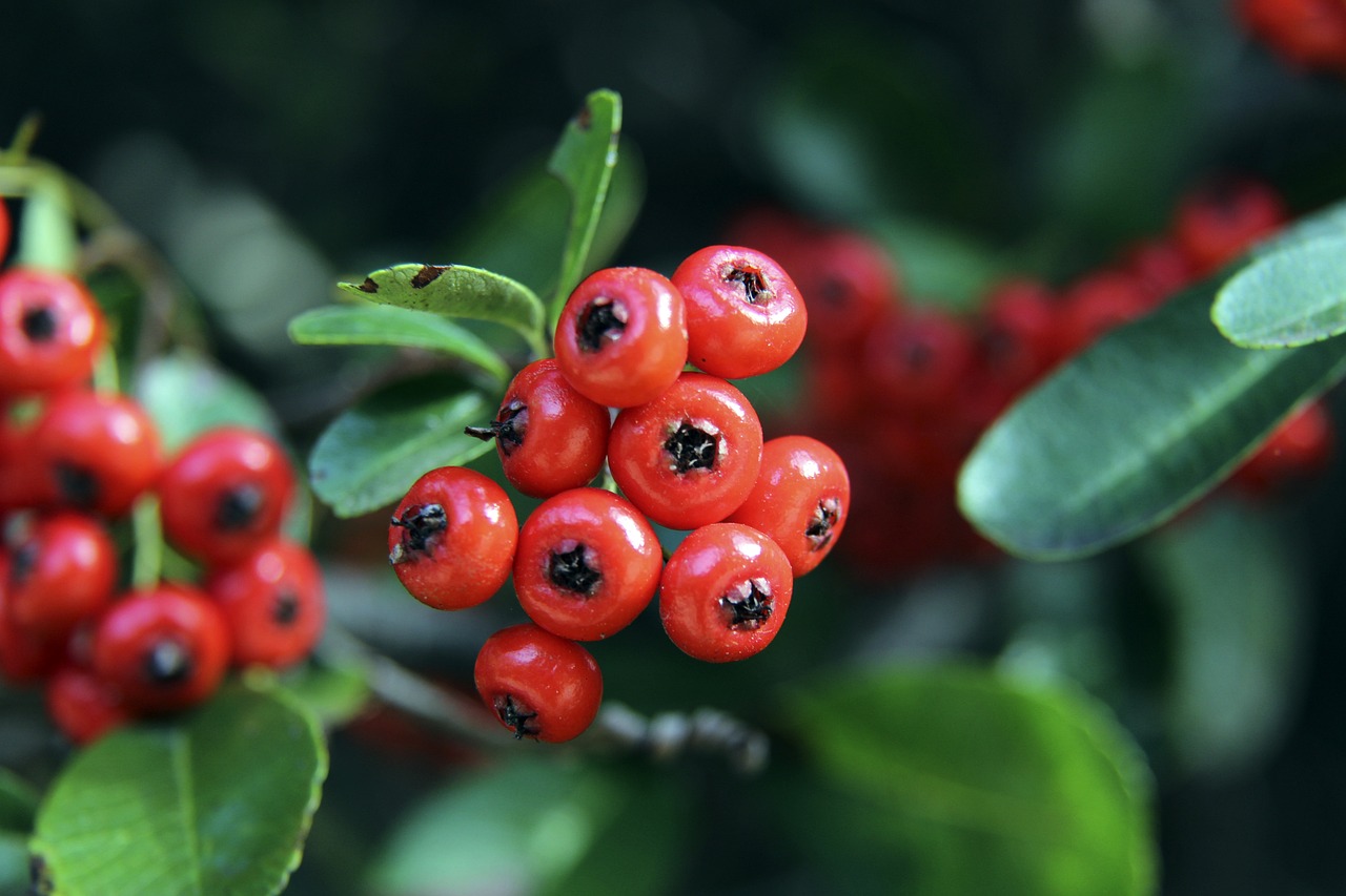 业上的冲击 业上的冲击