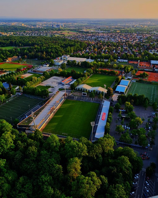 巅峰的最佳 巅峰的最佳