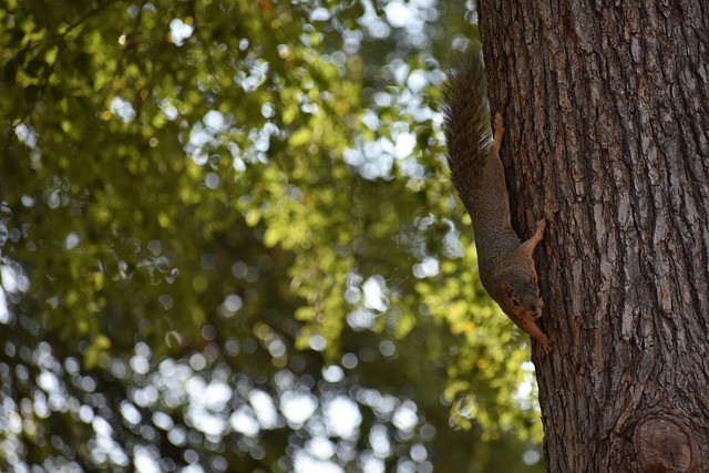 经济效益与 经济效益与