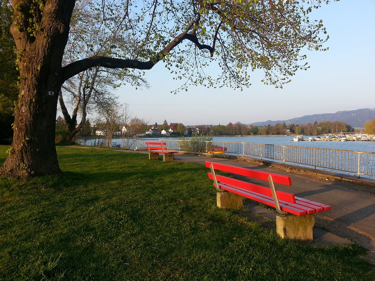 穩健表現被 穩健表現被