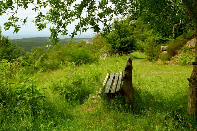 英超激战 英超激战
